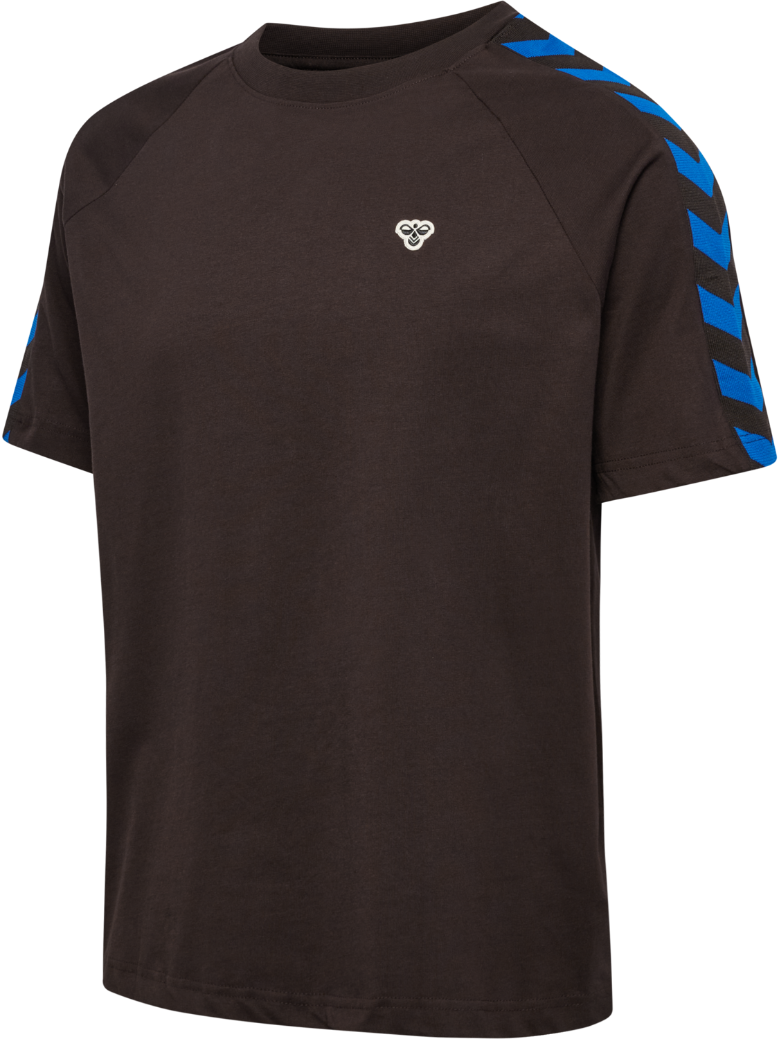 hmlARCHIVE LOOSE T-SHIRT S/S, CHOCOLATE PLUM/CHOCOLATE PLUM, packshot