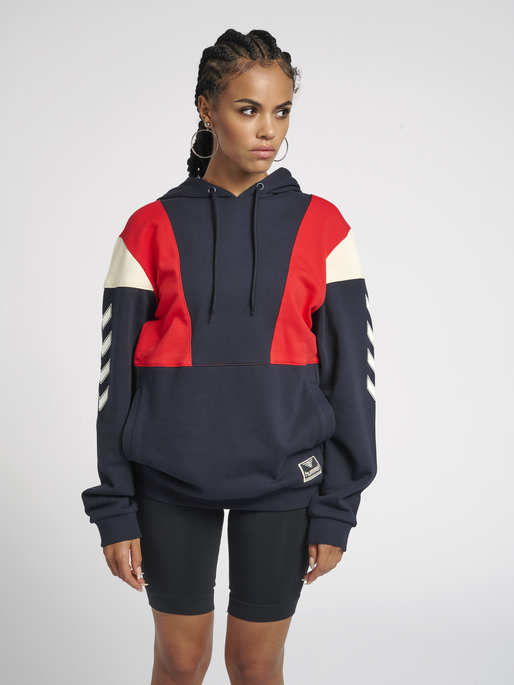hmlWILLIAM BLOCKED HOODIE, 7381, model