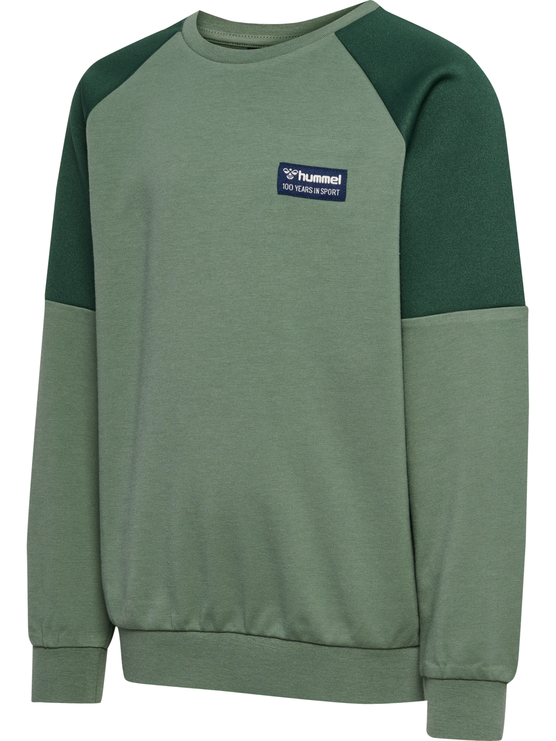 hmlEDDY SWEATSHIRT, 6575, packshot