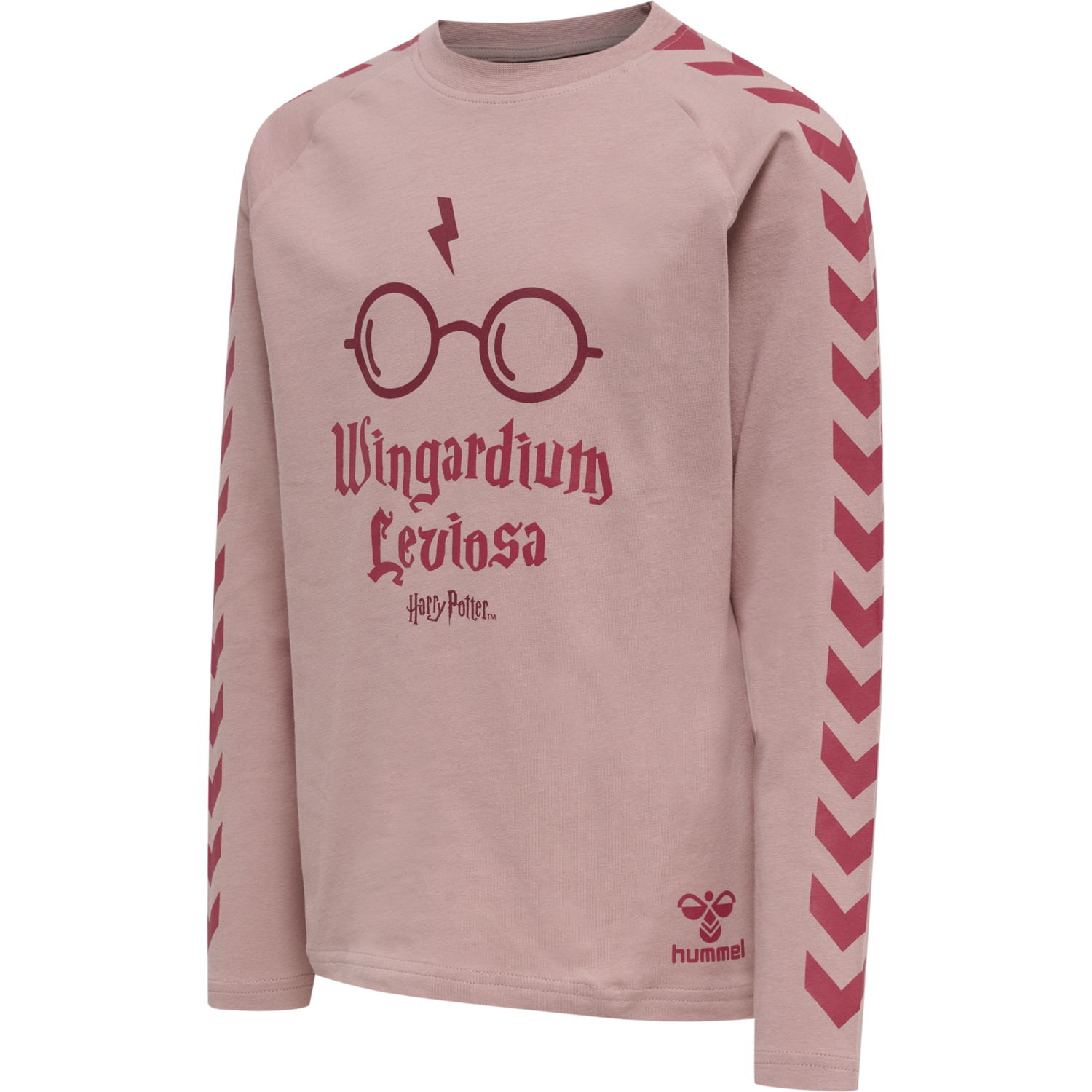 hmlHARRY POTTER CARO NIGHTSUIT, WOODROSE, packshot