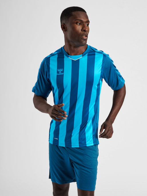 hmlCORE XK STRIPED JERSEY S/S, BLUE CORAL/BLUE DANUBE, model
