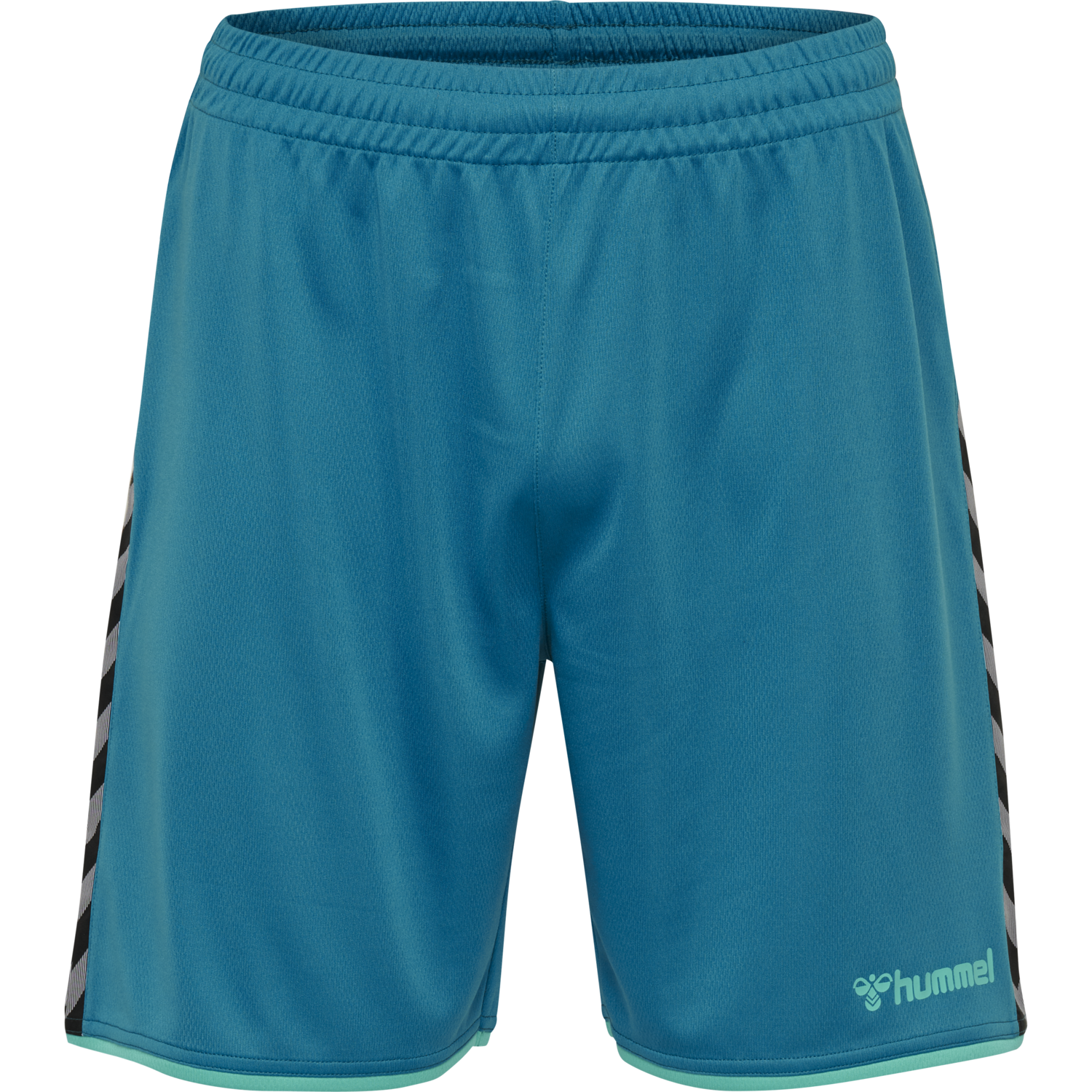 hmlAUTHENTIC POLY SHORTS, CELESTIAL, packshot
