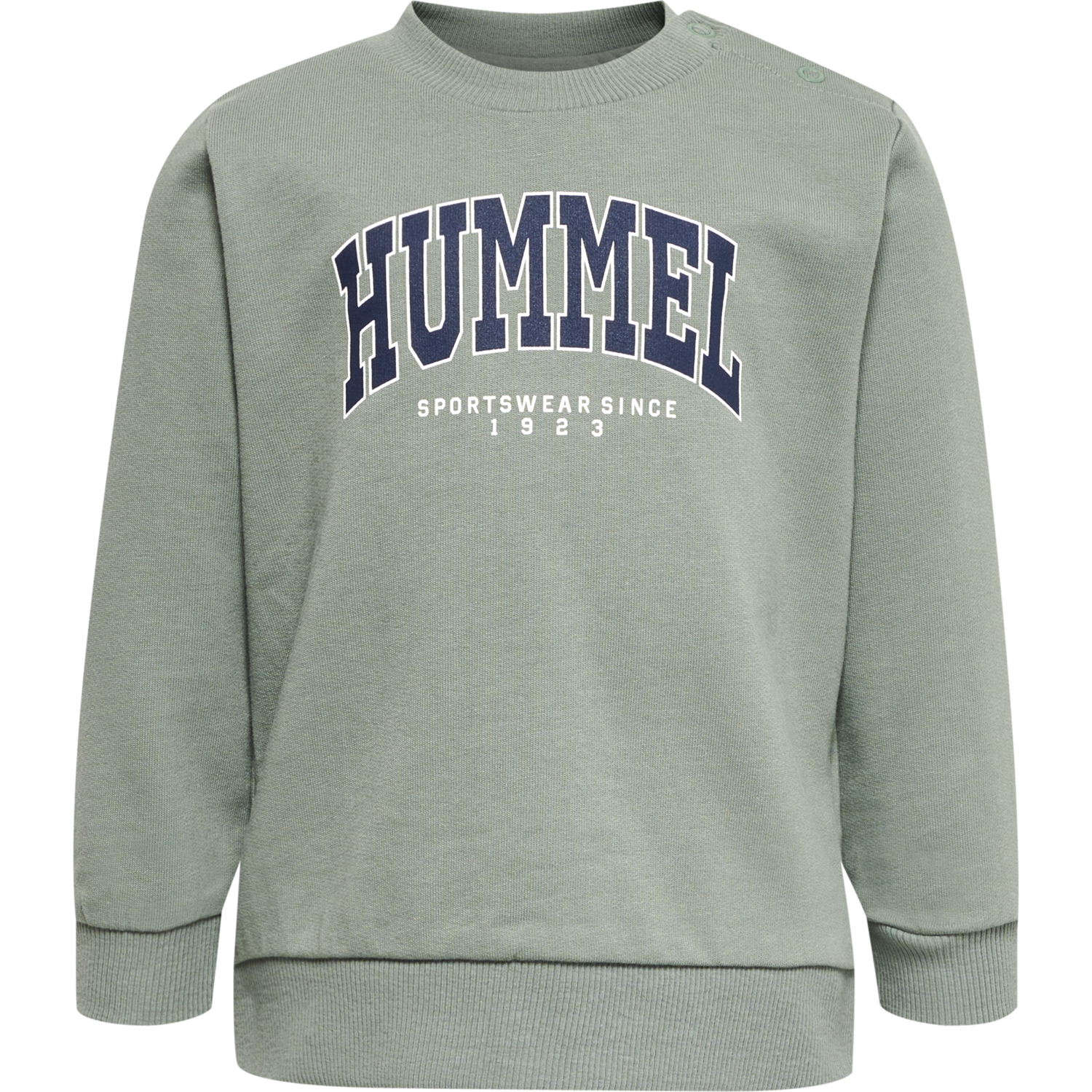 hmlFAST LIME SWEATSHIRT, SEA SPRAY, packshot