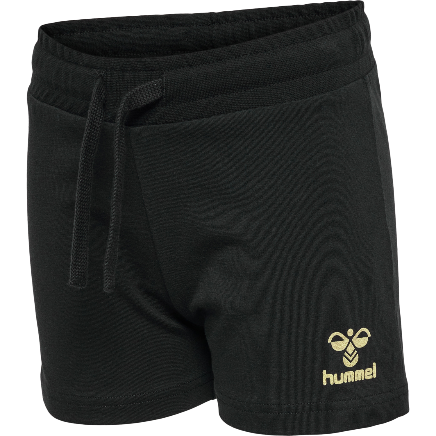 hmlVINNIE SHORTS, BLACK, packshot