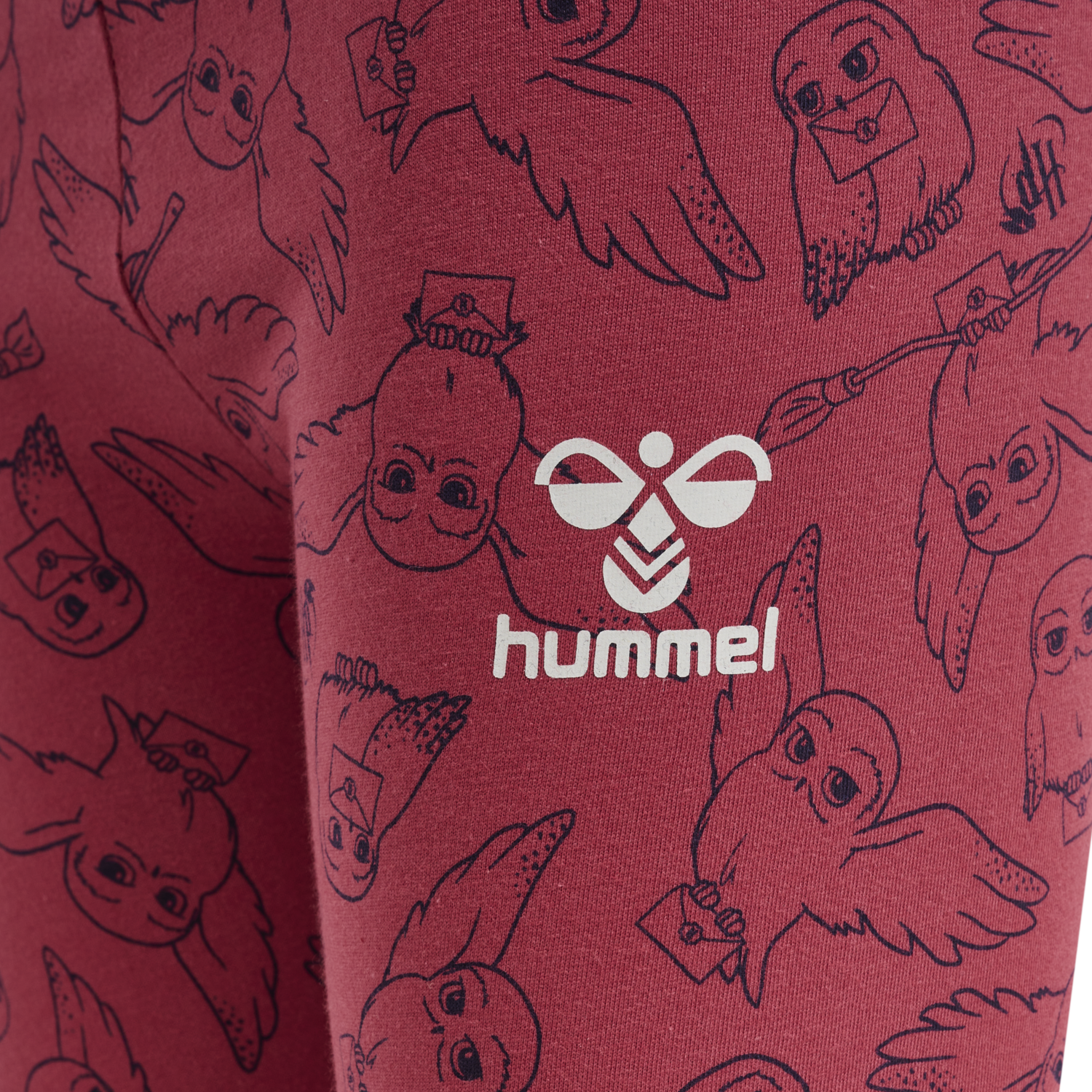 hmlHARRY POTTER ONZE TIGHTS, EARTH RED, packshot