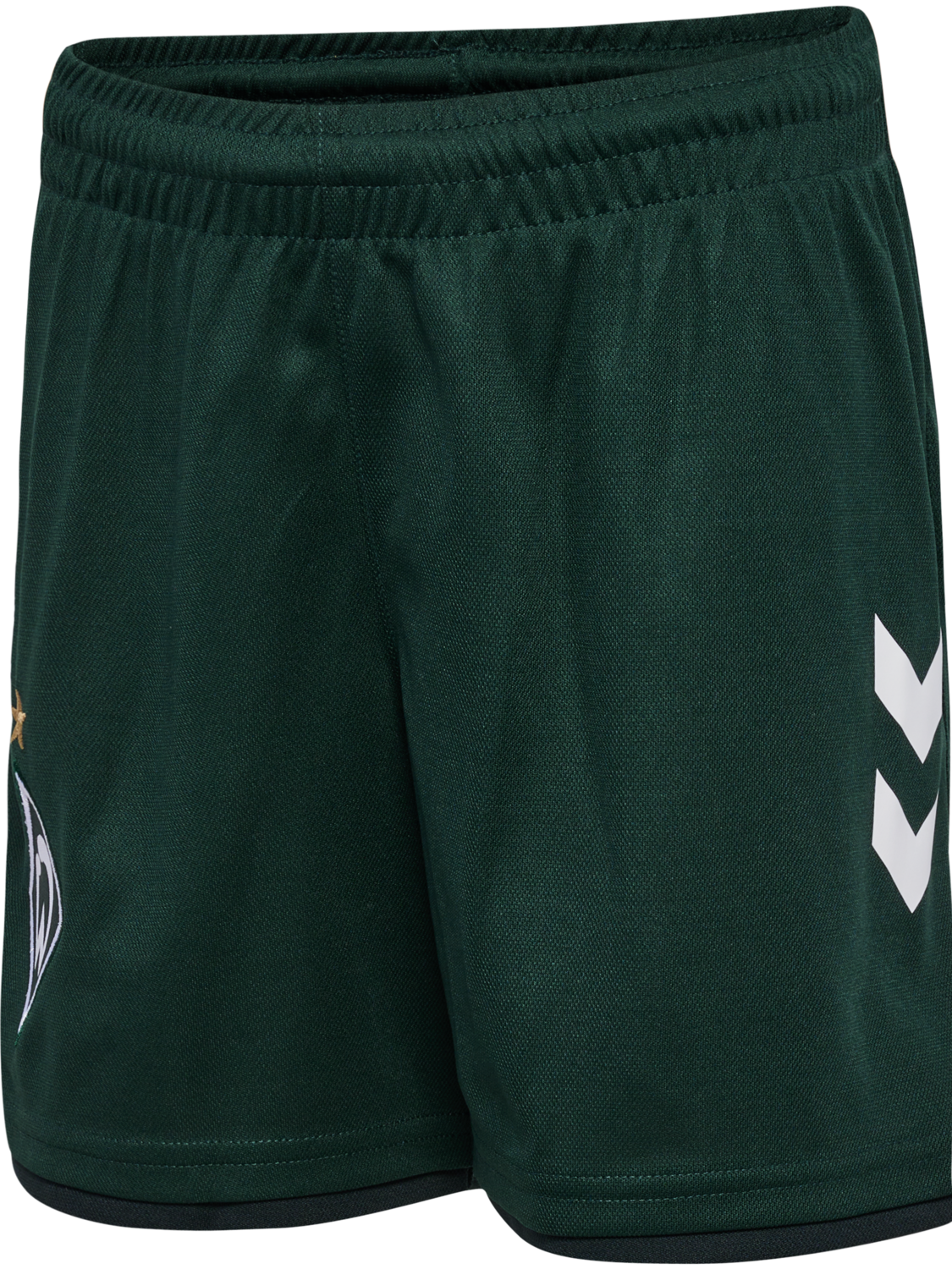 WER 23/24 3RD SHORTS KIDS, SCARAB, packshot