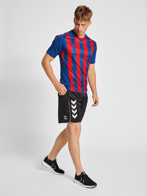 hmlCORE XK STRIPED JERSEY S/S, TRUE BLUE/TRUE RED, model