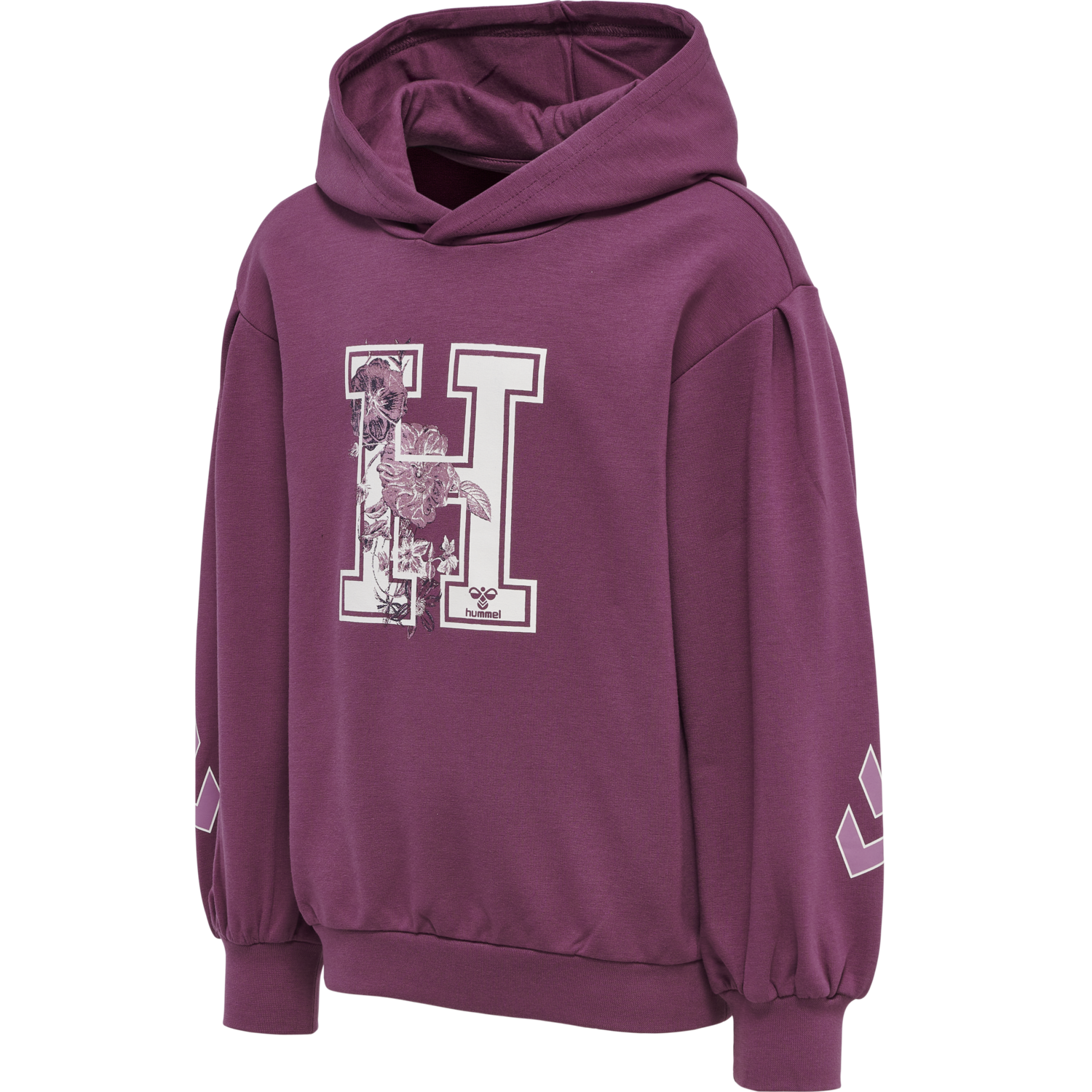 hmlASTROLOGY HOODIE, AMARANTH, packshot
