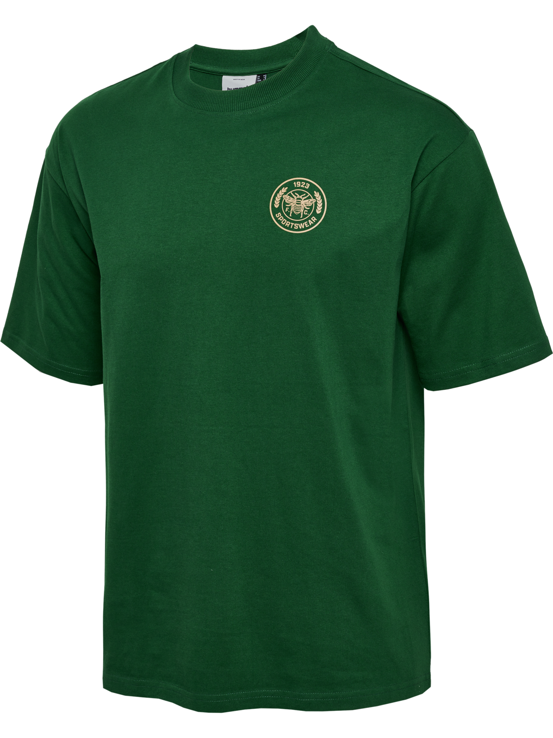 hmlSWARM LOOSE T-SHIRT, EDEN, packshot