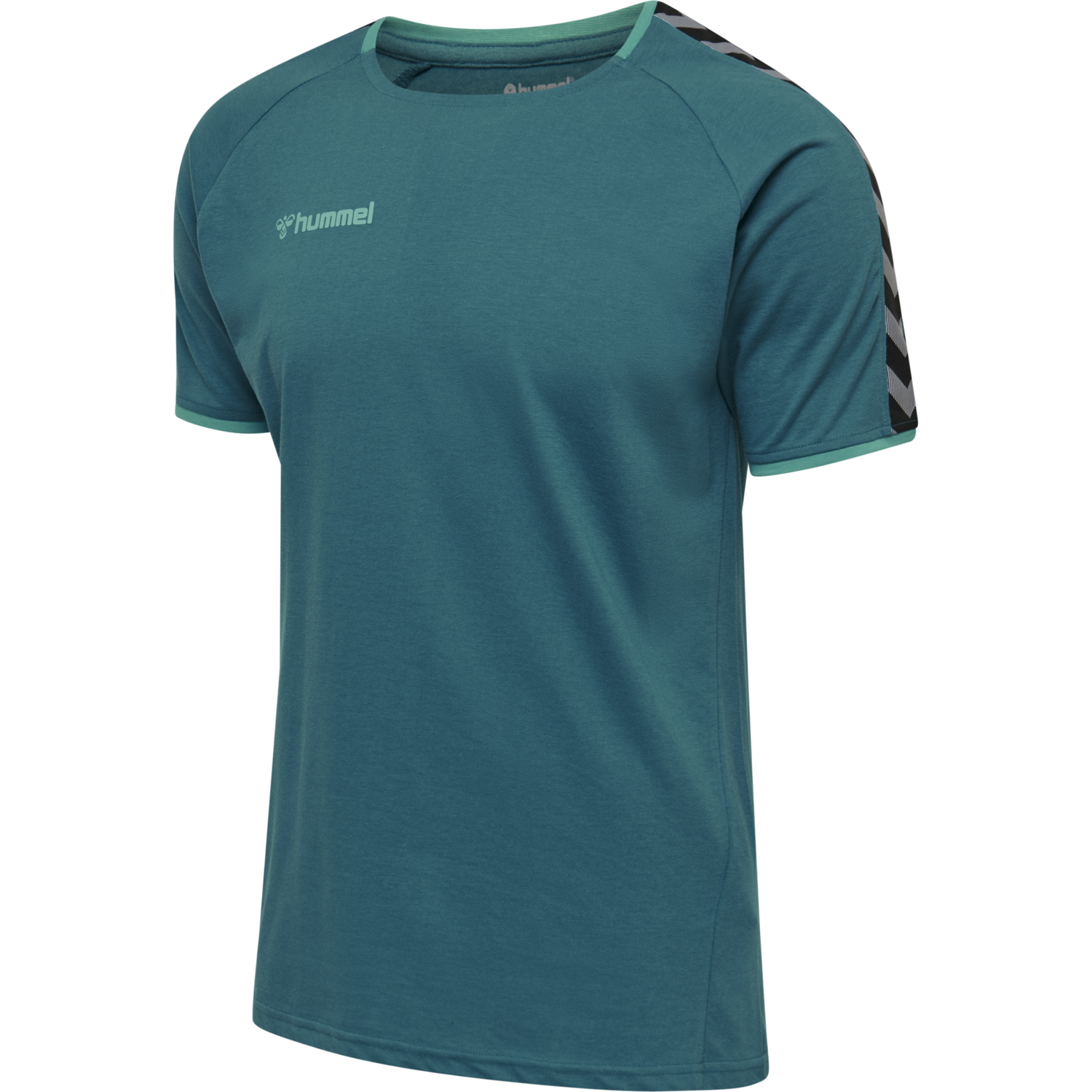 hmlAUTHENTIC TRAINING TEE, CELESTIAL, packshot