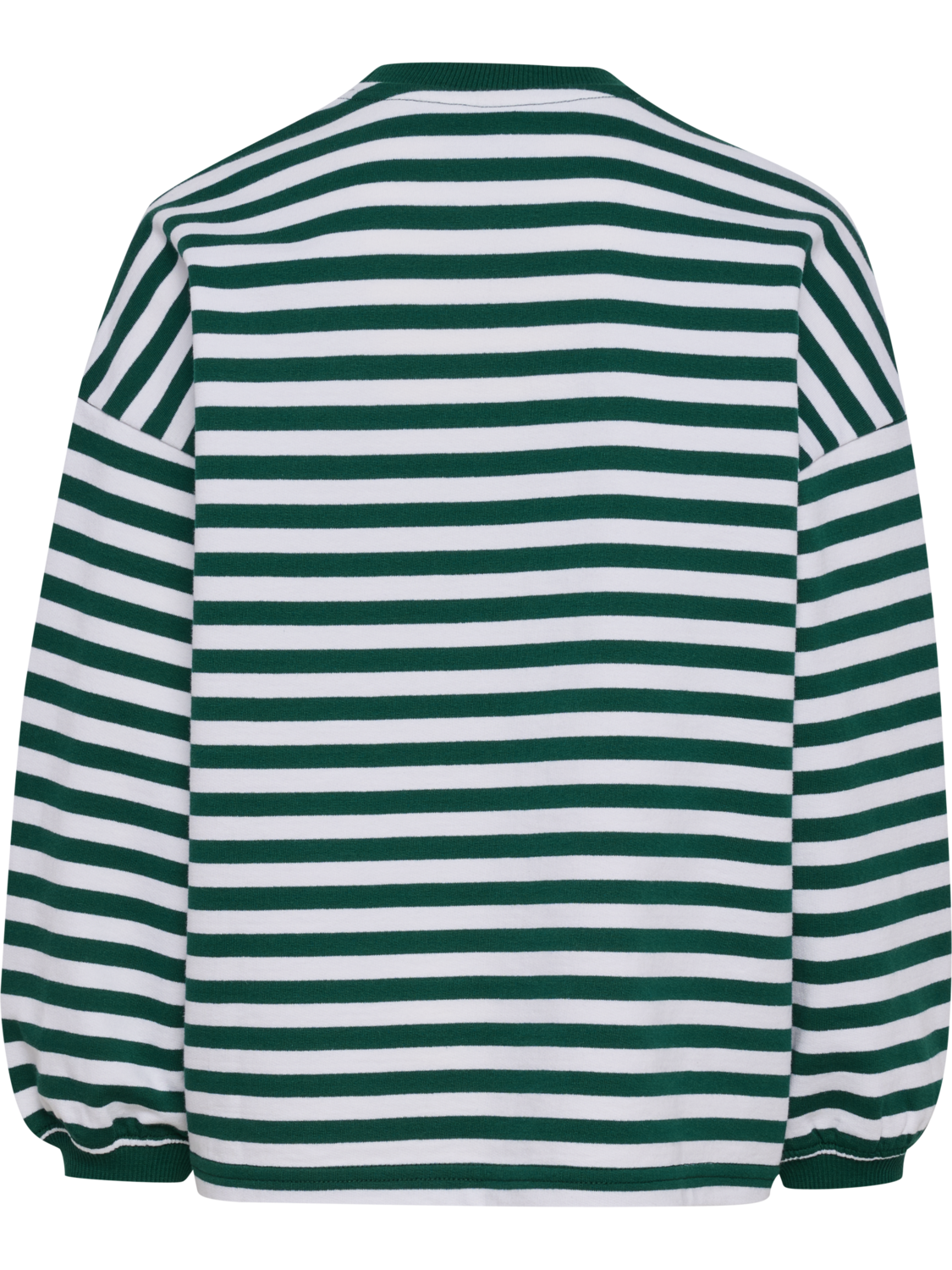 hmlJR GEGGO STRIPE SWEATSHIRT, FOREST BIOME, packshot