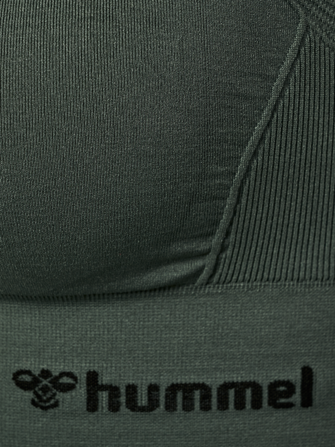 hmlTIFFY SEAMLESS SPORTS TOP, CLIMBING IVY, packshot