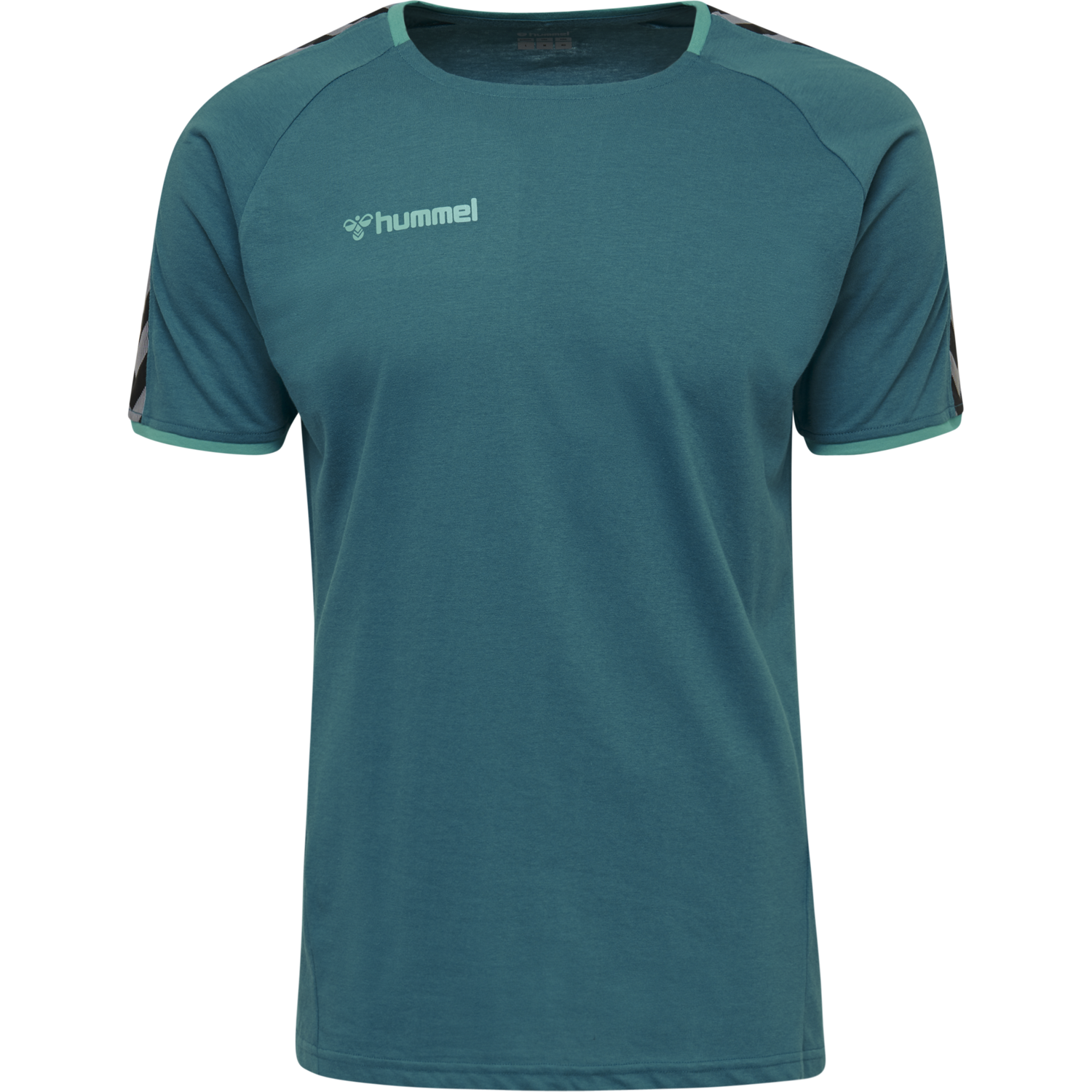 hmlAUTHENTIC TRAINING TEE, CELESTIAL, packshot