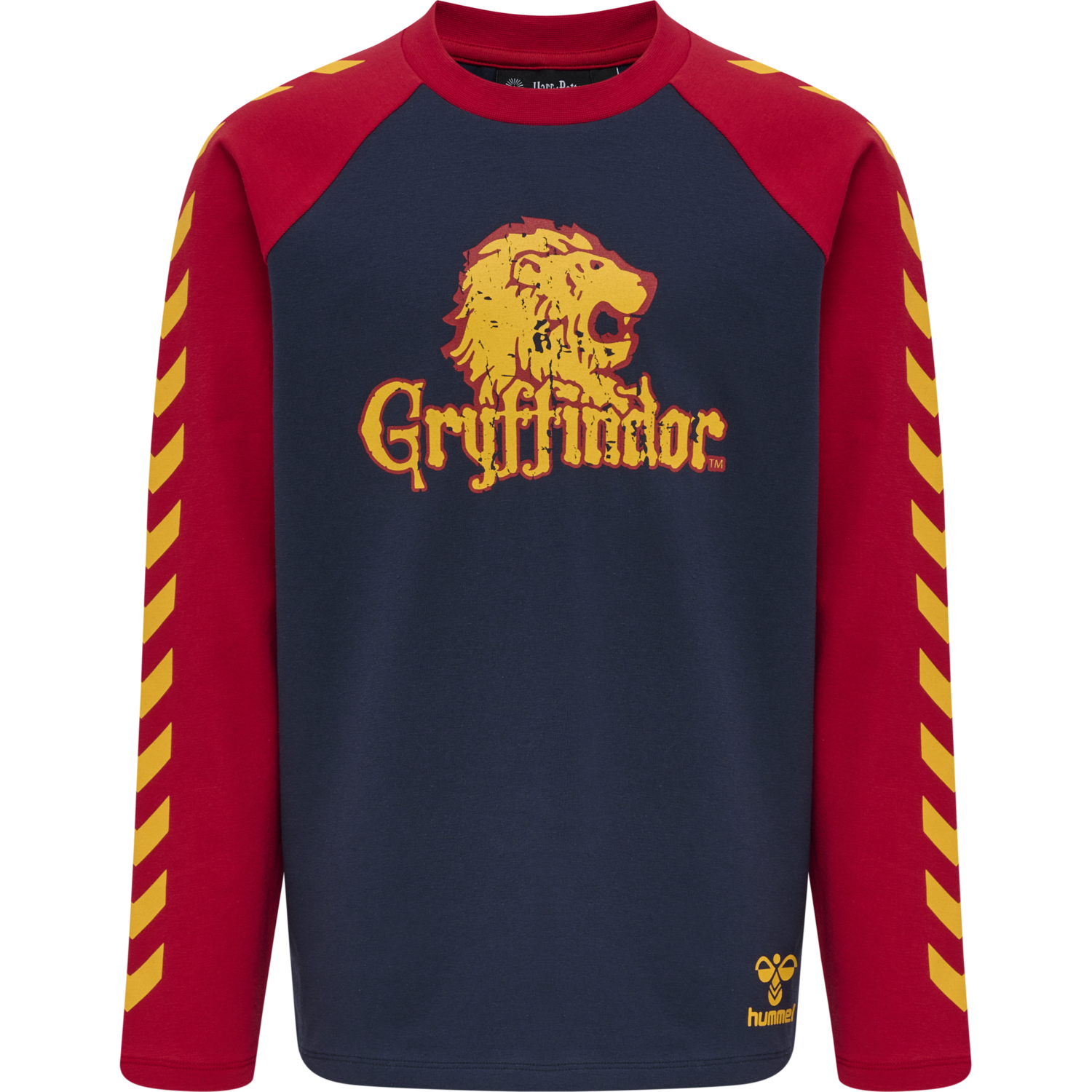hmlHARRY POTTER BOYS T-SHIRT L/S, SCARLET SAGE, packshot