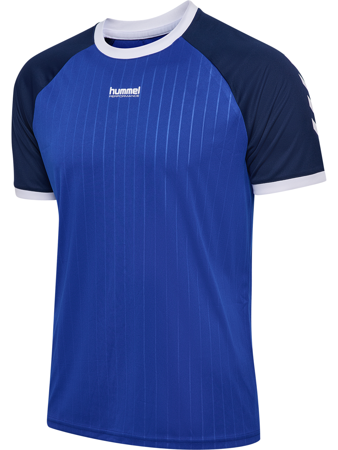 hmlPULSE STRIPE T-SHIRT S/S, SURF THE WEB, packshot