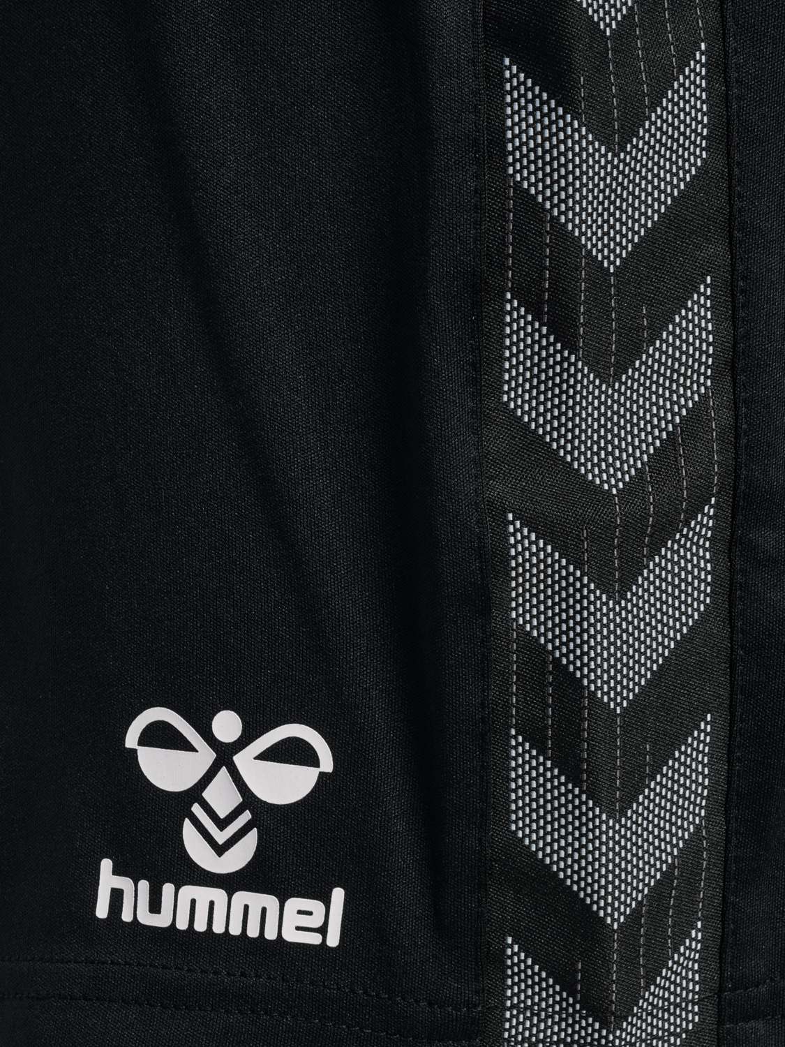 hmlAUTHENTIC PL SHORTS WOMAN, BLACK, packshot