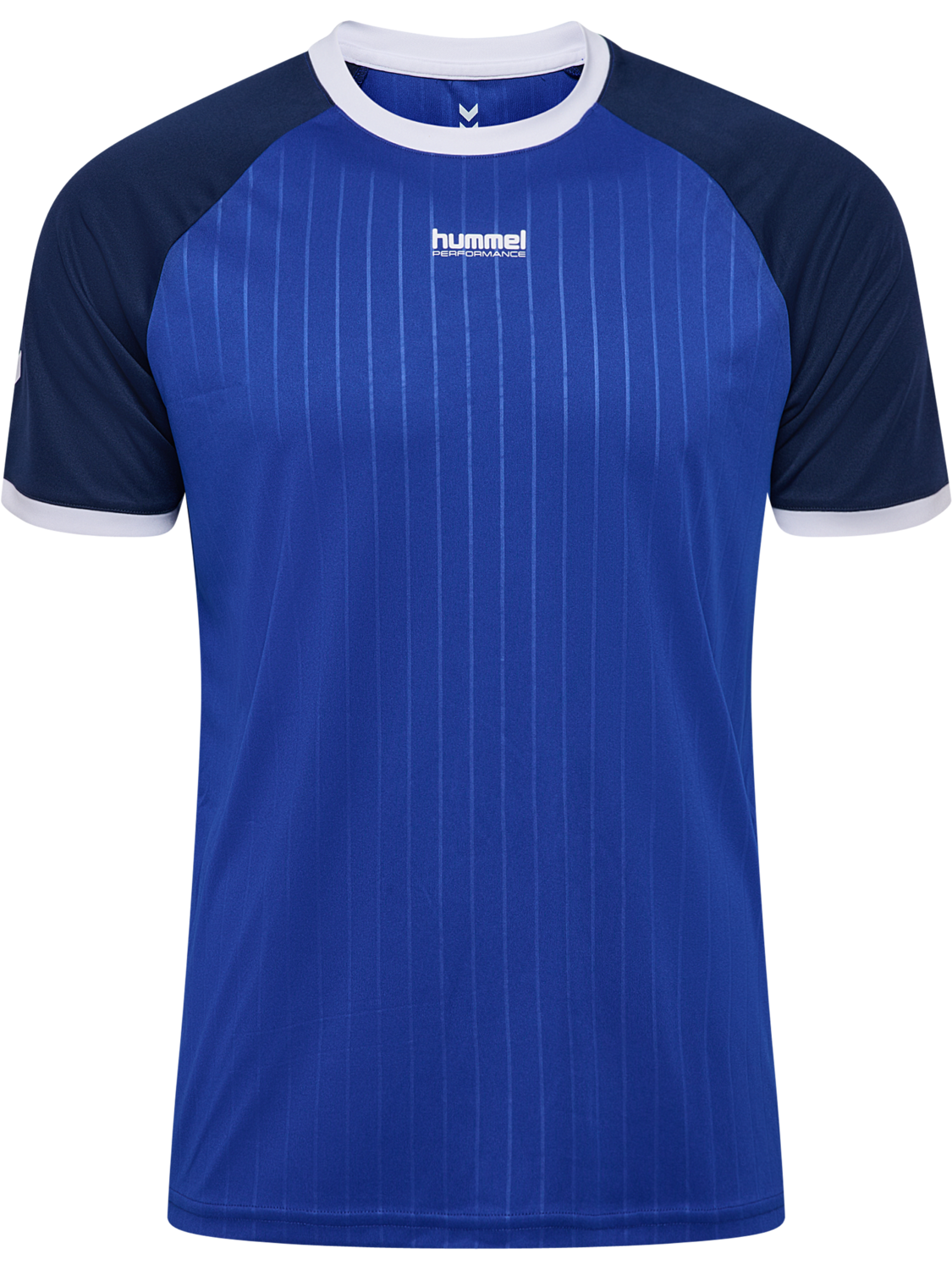 hmlPULSE STRIPE T-SHIRT S/S, SURF THE WEB, packshot