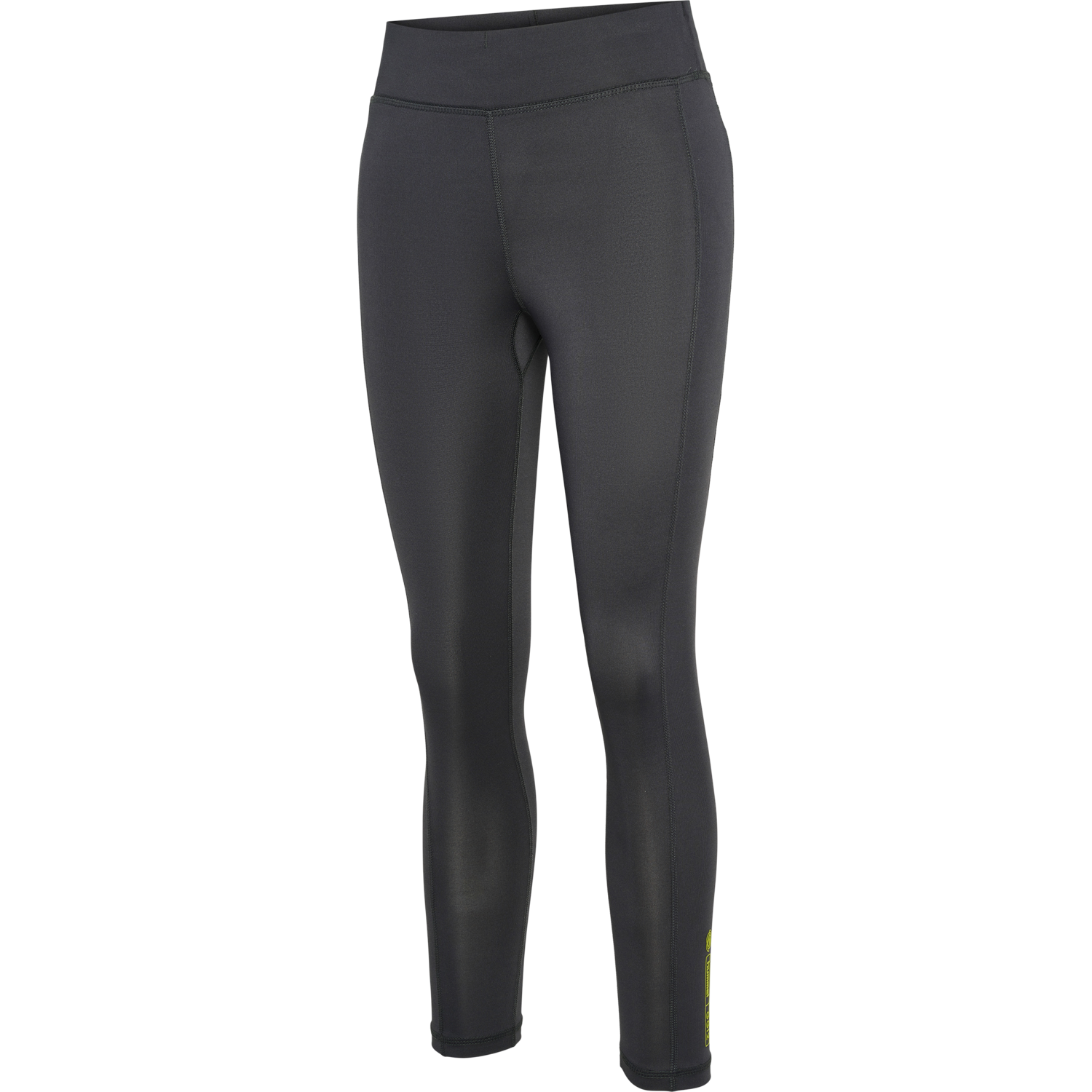 hmlGG12 TRAINING HW 3/4 TIGHTS WOMA, FORGED IRON, packshot