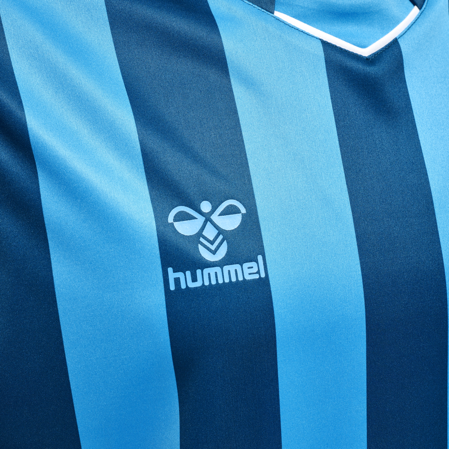 hmlCORE XK STRIPED JERSEY S/S, BLUE CORAL/BLUE DANUBE, packshot