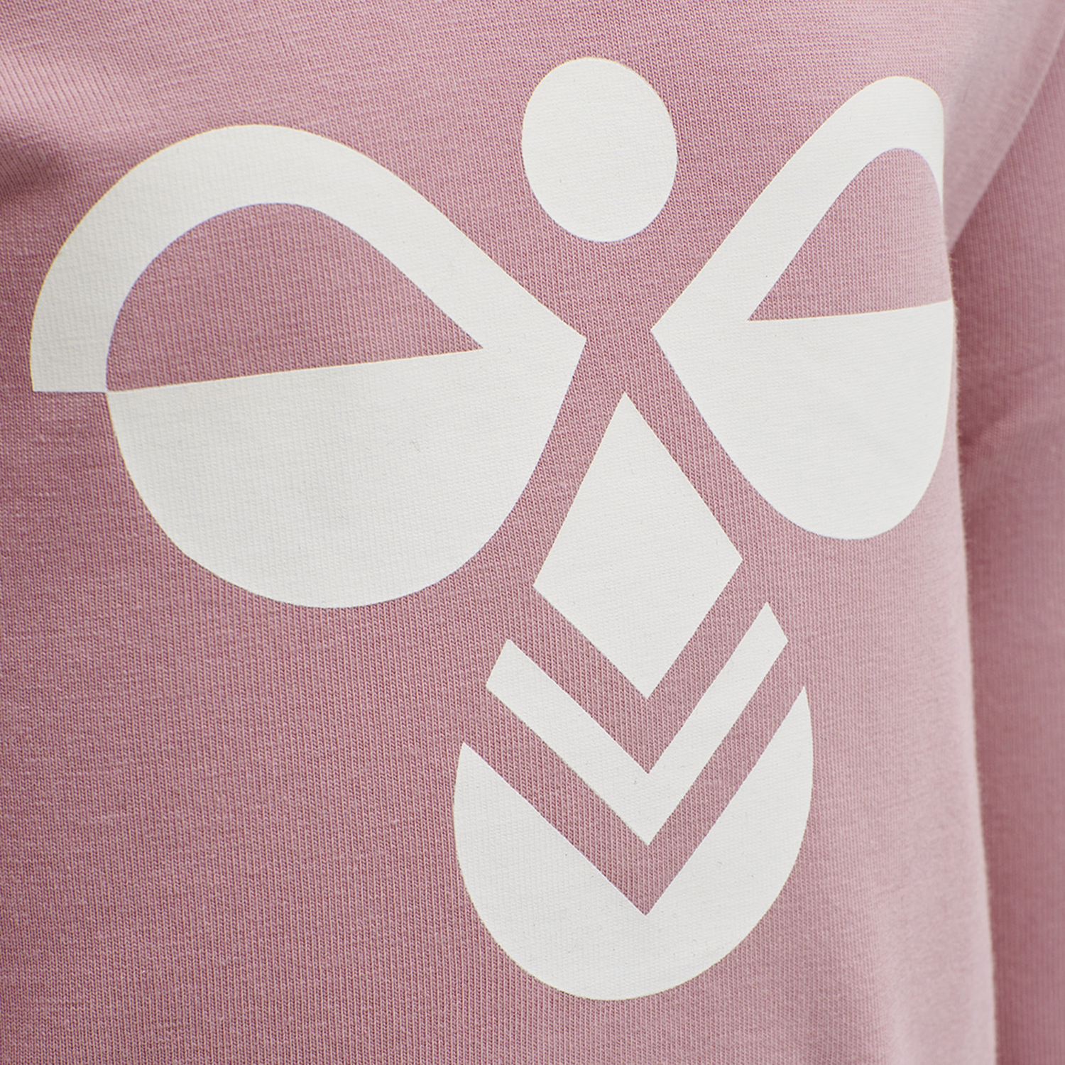 hmlFLIPPER T-SHIRT L/S, WOODROSE, packshot