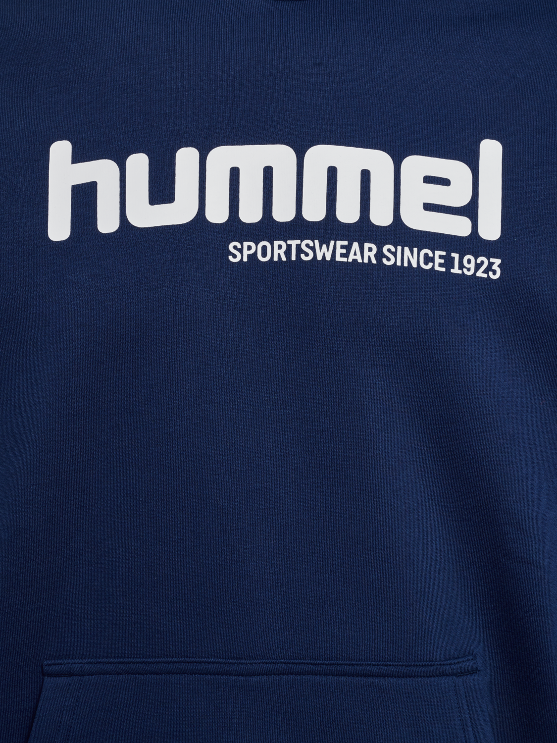hmlSW GRAPHIC HOODIE, DRESS BLUES, packshot